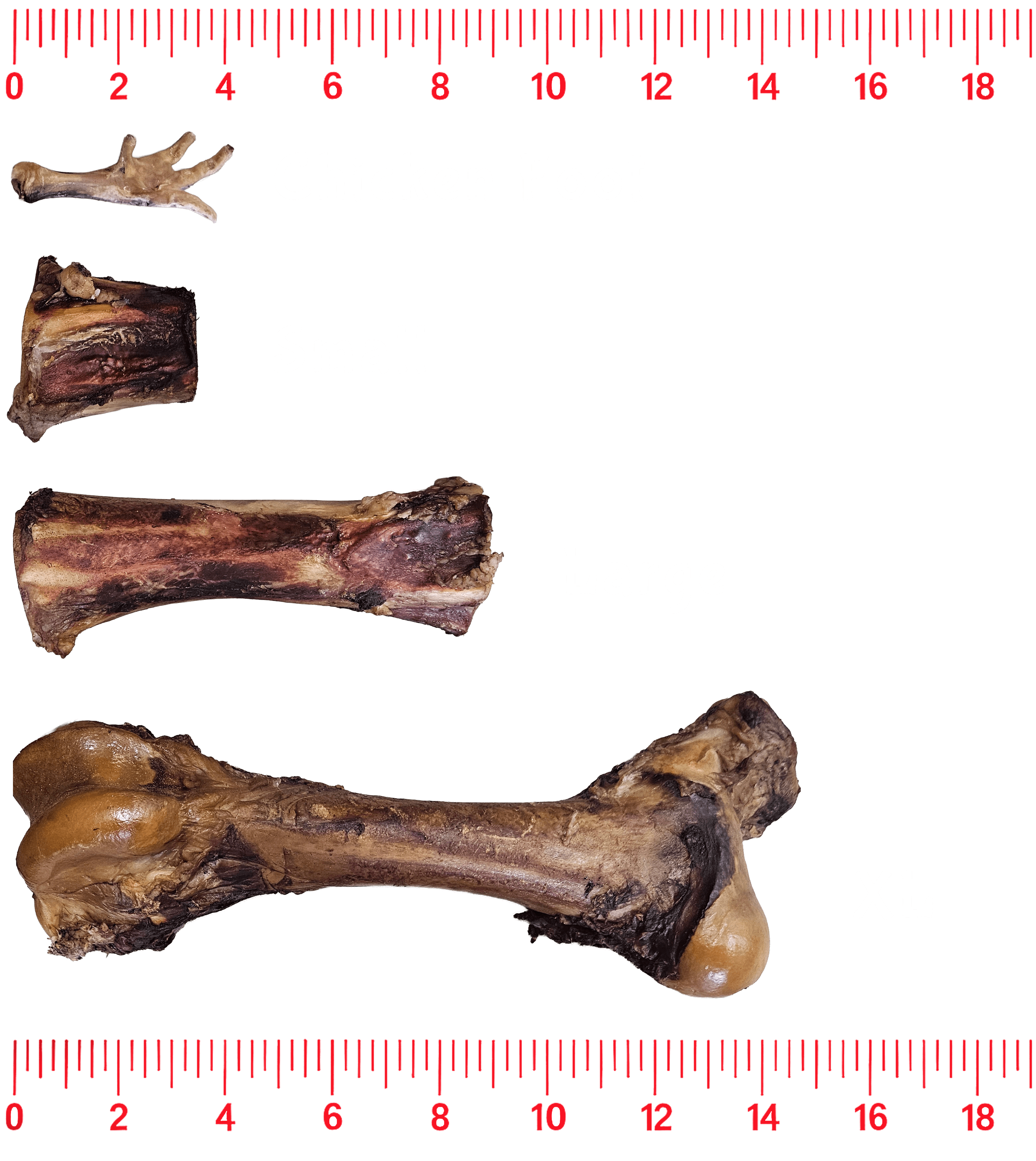Berserkergang Bones size guide: chicken foot, chicken neck, and Small, Large, XL bones side-by-side